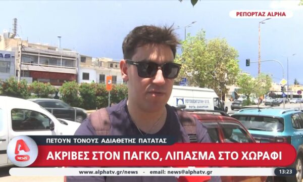 Πετούν τόνους αδιάθετης πατάτας | Ακριβές πατάτες, λίπασμα στο χωράφι