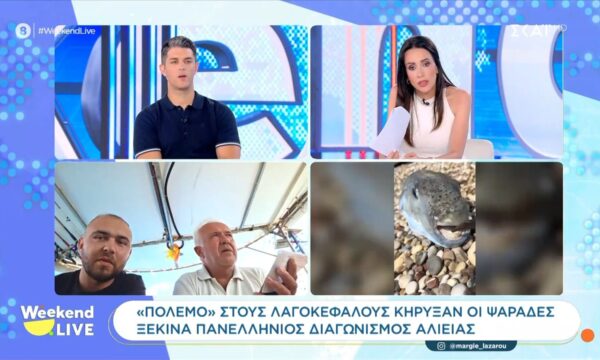 «Πόλεμο» στους λαγοκέφαλους κήρυξαν οι ψαράδες – Ξεκινά πανελλήνιος διαγωνισμός αλιείας