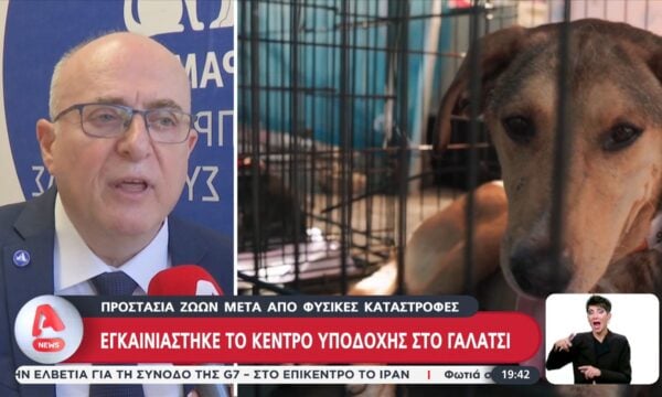 Προστασία ζώων μετά από φυσικές καταστροφές – Εγκαινιάστηκε το κέντρο υποδοχής στο Γαλάτσι