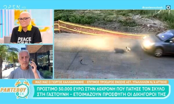 Πρόστιμο 50.000 ευρώ στην 60χρονη που πάτησε τον σκύλο στη Γαστούνη – Ετοιμάζουν προσφυγή οι δικηγόροι της