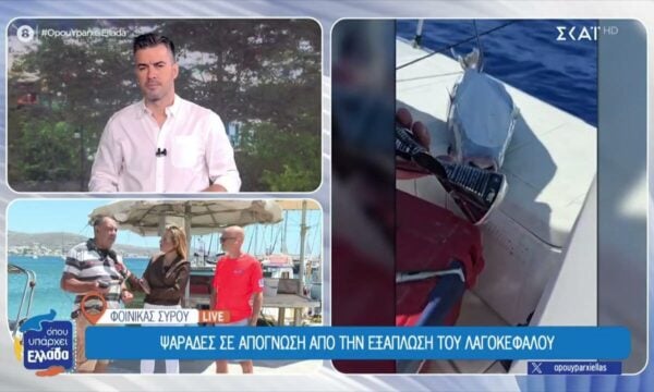 Ψαράδες σε απόγνωση από την εξάπλωση του λαγοκέφαλου