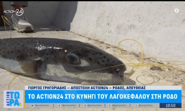 Ψαράς Ρόδου: «Μέχρι πέρσι πιάναμε 25 κιλά ψάρια, τώρα ούτε 3 –  Πρίν δέκα χρόνια φωνάζαμε γι’αυτό»