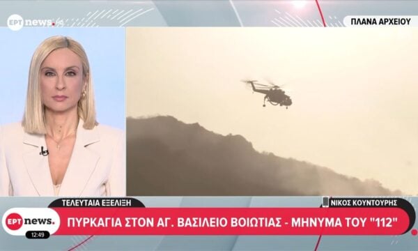 Πυρκαγιά σε δασική έκταση στον Άγιο Βασίλειο Βοιωτίας – Ήχησε 112 για ετοιμότητα