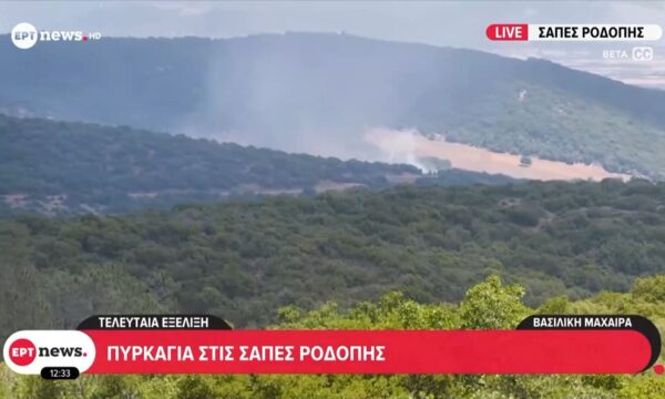 Πυρκαγιά στις Σάπες Ροδόπης