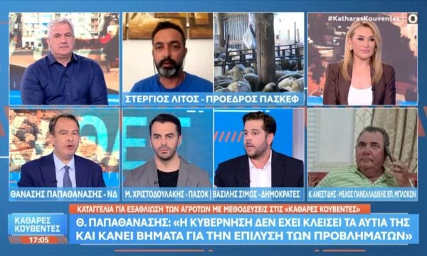 Σ.Λίτος: «Κάποιοι τα αρπάζουν και δεν κάνουν την κατανομή, όπως συνέβαινε και στον ΟΠΕΚΕΠΕ»