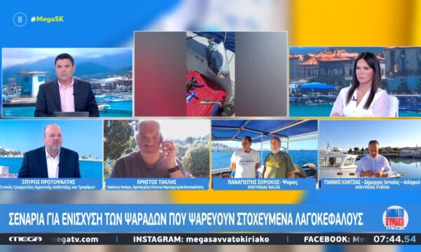 Σ. Πρωτοψάλτης: «Χρειάζονται ειδικές υποδομές για την καταστροφή των λαγοκέφαλων που θα αλιευθούν»