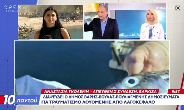 Σε επιφυλακή για επιδρομές τοξικών λαγοκέφαλων και σε παραλίες της Αττικής