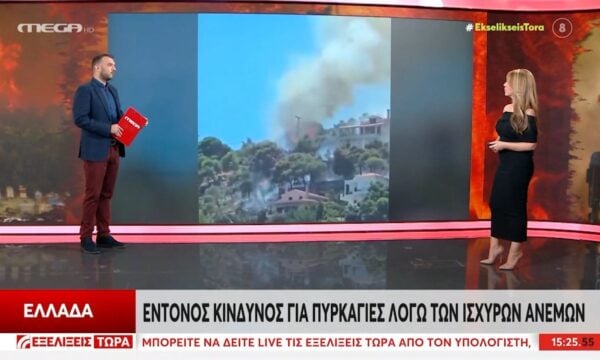 Σε ύφεση η φωτιά στο Πευκάλι Κορινθίας