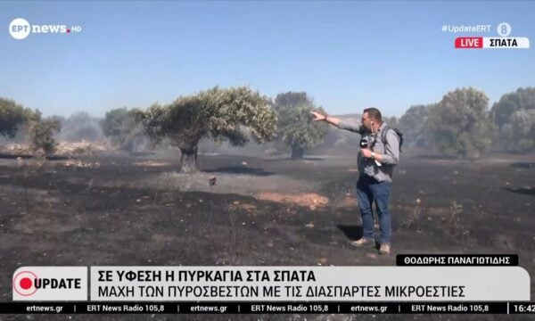 Σε ύφεση η πυρκαγιά στα Σπάτα – Μάχη των πυροσβεστών με τις διάσπαρτες μικροεστίες