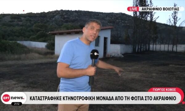 Σε ύφεση το πύρινο μέτωπο στο Ακραίφνιο – Δόθηκε ξανά στην κυκλοφορία η Ε.Ο. Αθηνών-Λαμίας