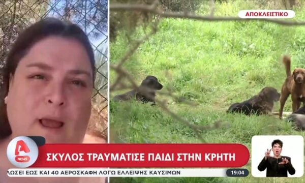 Σκύλος δάγκωσε παιδί στην Κρήτη – 1.600 ευρώ πρόστιμο στον ιδιοκτήτη