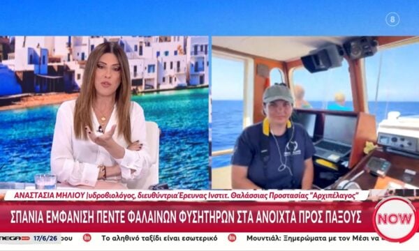 Σπάνια εμφάνιση πέντε φαλαινών φυσητήρων στα ανοιχτά προς Παξούς