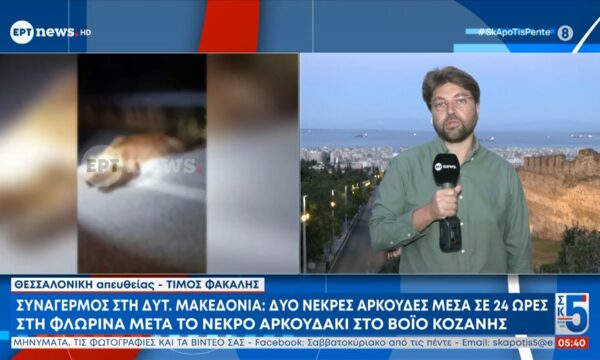 Συναγερμός στη Δυτ. Μακεδονία | Δύο νεκρές αρκούδες μέσα σε 24 ώρες στη Φλώρινα μετά το νεκρό αρκουδάκι στο Βόιο Κοζάνης