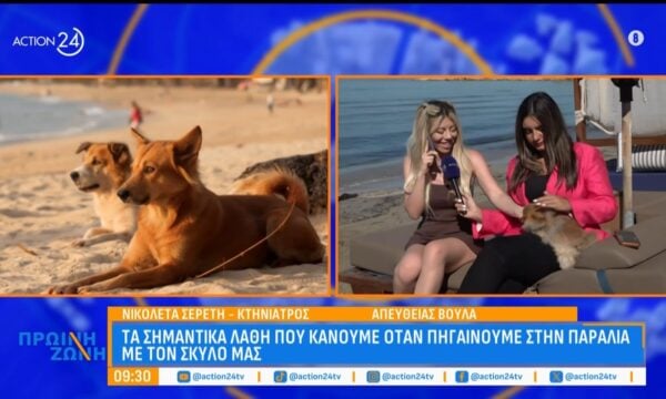 Τα σημαντικά λάθη που κάνουμε όταν πηγαίνουμε στην παραλία με τον σκύλο μας