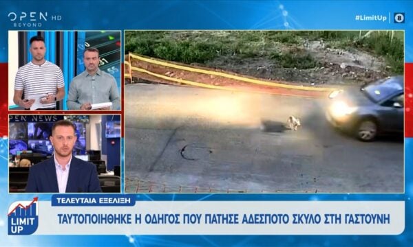 Ταυτοποιήθηκε η οδηγός που πάτησε αδέσποτο σκύλο στη Γαστούνη
