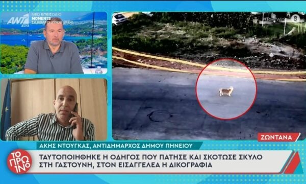 Ταυτοποιήθηκε η οδηγός που πάτησε και σκότωσε σκύλο στη Γαστούνη – Το Πρωινό – 22/06/2026