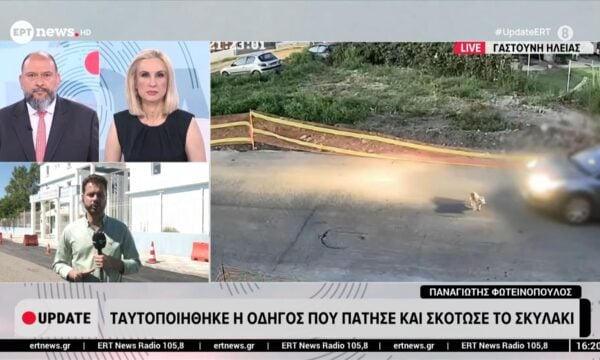 Ταυτοποιήθηκε η οδηγός που πάτησε και σκότωσε το σκυλάκι