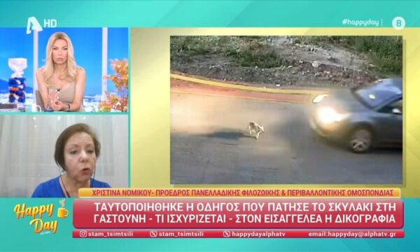 Ταυτοποιήθηκε η οδηγός που πάτησε το σκυλάκι στη Γαστούνη – Τι ισχυρίζεται;