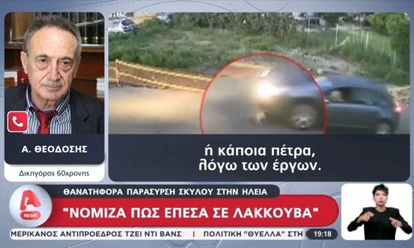 Θανατηφόρα παράσυρση σκύλου στην Ηλεία: ”Νόμιζα πως έπεσα σε λακκούβα”