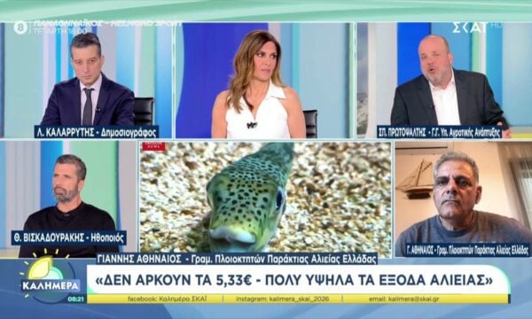 Τι γίνεται με τους λαγοκέφαλους; – Είναι αρκετό το μέτρο της επικήρυξής τους