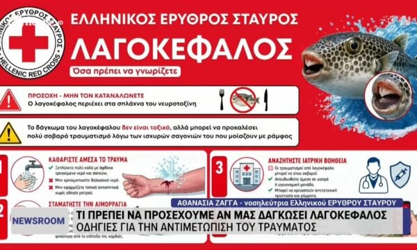 Τι πρέπει να προσέχουμε αν μας δαγκώσει λαγοκέφαλος – Η νοσηλεύτρια του Ελληνικού Ερυθρού Σταυρού Αθανασία Ζάγγα στο ΕΡΤnews