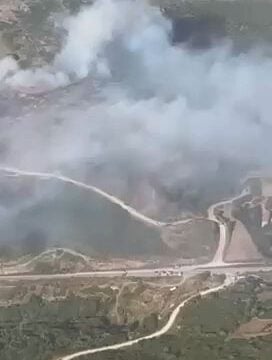 Το μέτωπο της πυρκαγιάς στην Κάρυστο Εύβοιας