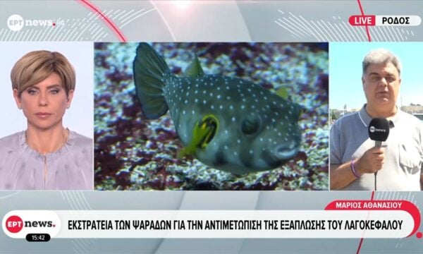 Το σχέδιο «επικήρυξης» των λαγοκέφαλων