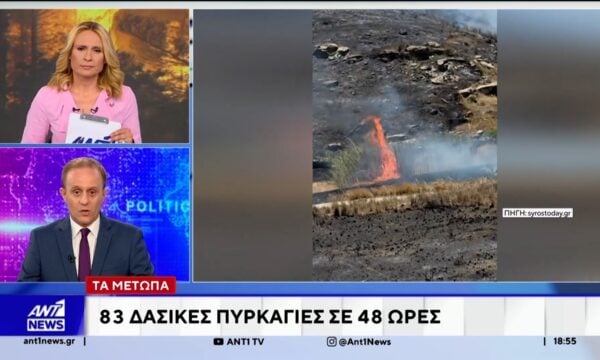 Το τελευταίο 48ωρο έχουν εκδηλωθεί 83 δασικές πυρκαγιές στη χώρα