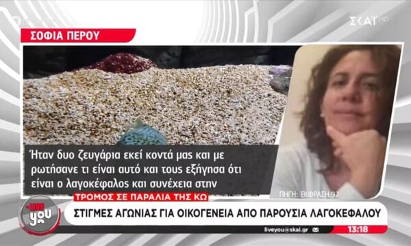 Τρόμος σε παραλία της Κω: Στιγμές αγωνίας για οικογένεια από παρουσία λαγοκέφαλου