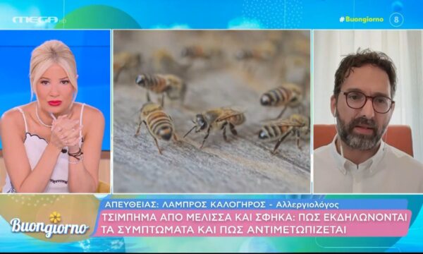 Τσίμπημα από μέλισσα και σφήκα: Πώς εκδηλώνονται τα συμπτώματα και πώς αντιμετωπίζεται