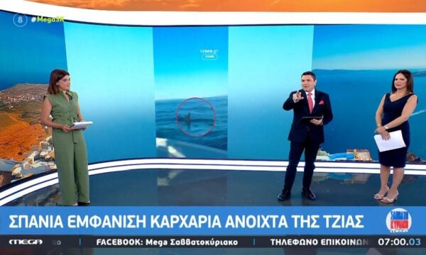 Τζιά: Νέα εμφάνιση καρχαρία στα ανοιχτά του νησιού