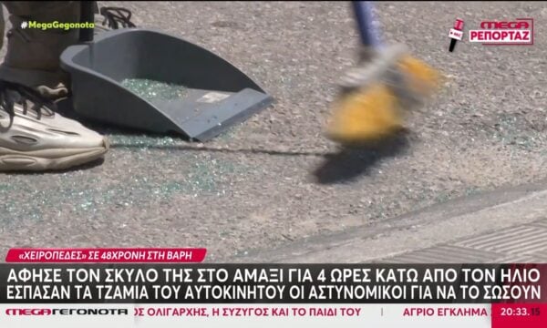 Βάρη: Άφησε τον σκύλο της με κλειστά παράθυρα στο ΙΧ για 4 ώρες & προσπάθησε να αποφύγει τη σύλληψη – Βίντεο ντοκουμέντο