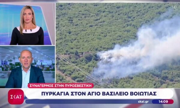 Βελτιωμένη η εικόνα της φωτιάς σε δασική έκταση στη Βοιωτία: Ήχησε το 112 – Ενισχύθηκαν οι δυνάμεις