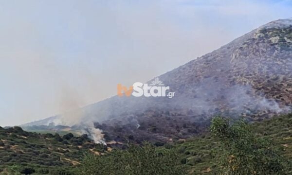 Βοιωτία: Δεύτερη περίεργη πυρκαγιά μεταξύ Λιβαδειάς Ορχομενού – Σηκώθηκαν αεροσκάφη