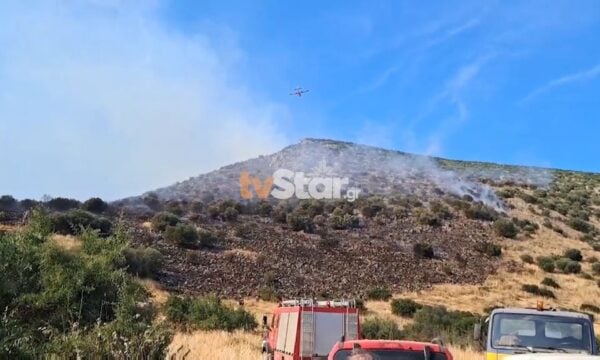 Βοιωτία: Πυρκαγιά στο Ανθοχώρι – Σηκώθηκαν αεροσκάφη