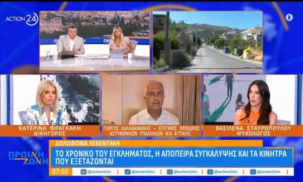 Υπόθεση Λεβεντάκη: Τα κίνητρα, ο σχεδιασμός του δράστη & οι ποινές