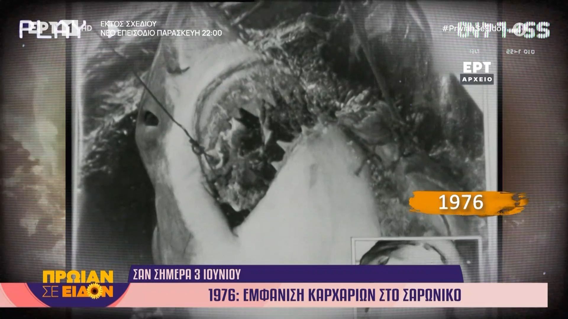 Σαν σήμερα 3 Ιουνίου: 1976, εμφάνιση καρχαριών στον Σαρωνικό