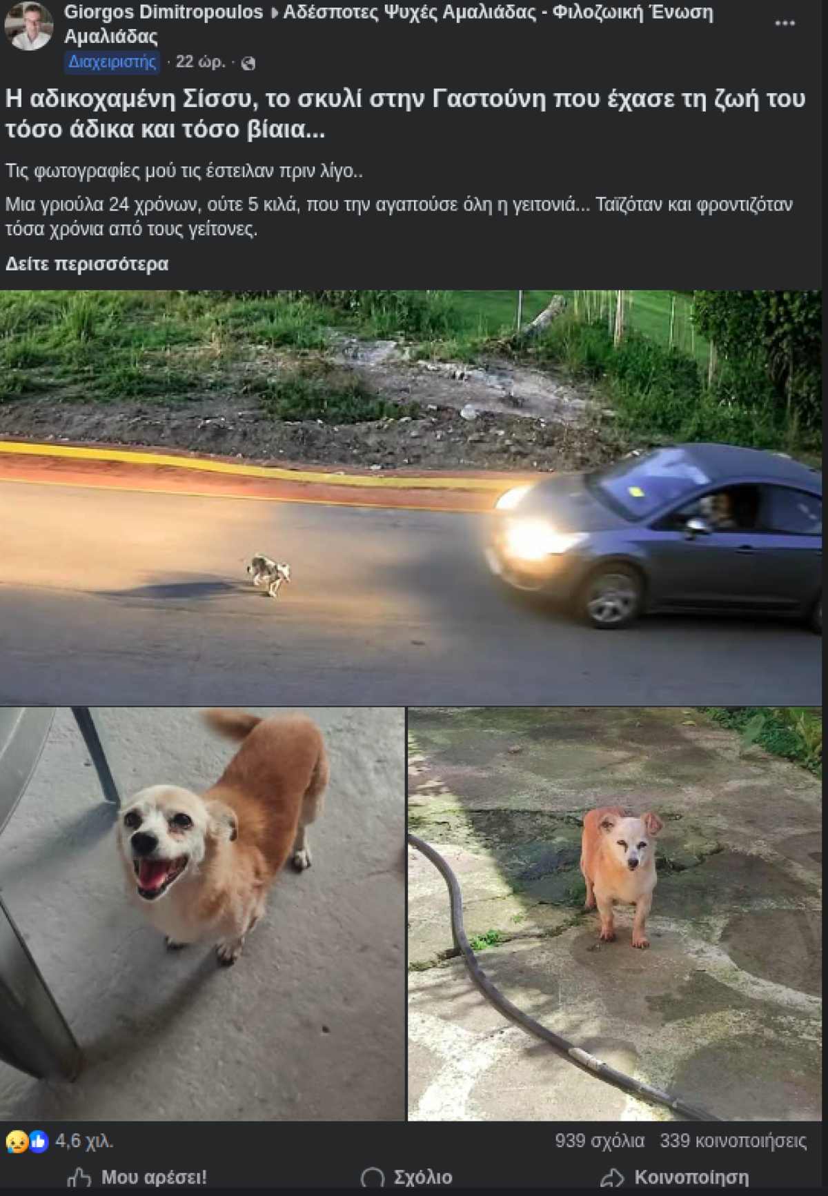 Γαστούνη Σίσσυ σκυλάκι