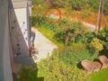 Σταυρούλα Λεβεντάκη: Η τελευταία φωτογραφία της 45χρονης πριν τη δολοφονία – Ξεσπά ο αδερφός της