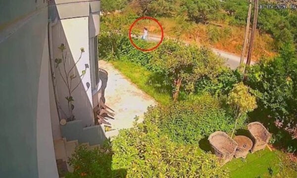 Σταυρούλα Λεβεντάκη: Η τελευταία φωτογραφία της 45χρονης πριν τη δολοφονία – Ξεσπά ο αδερφός της