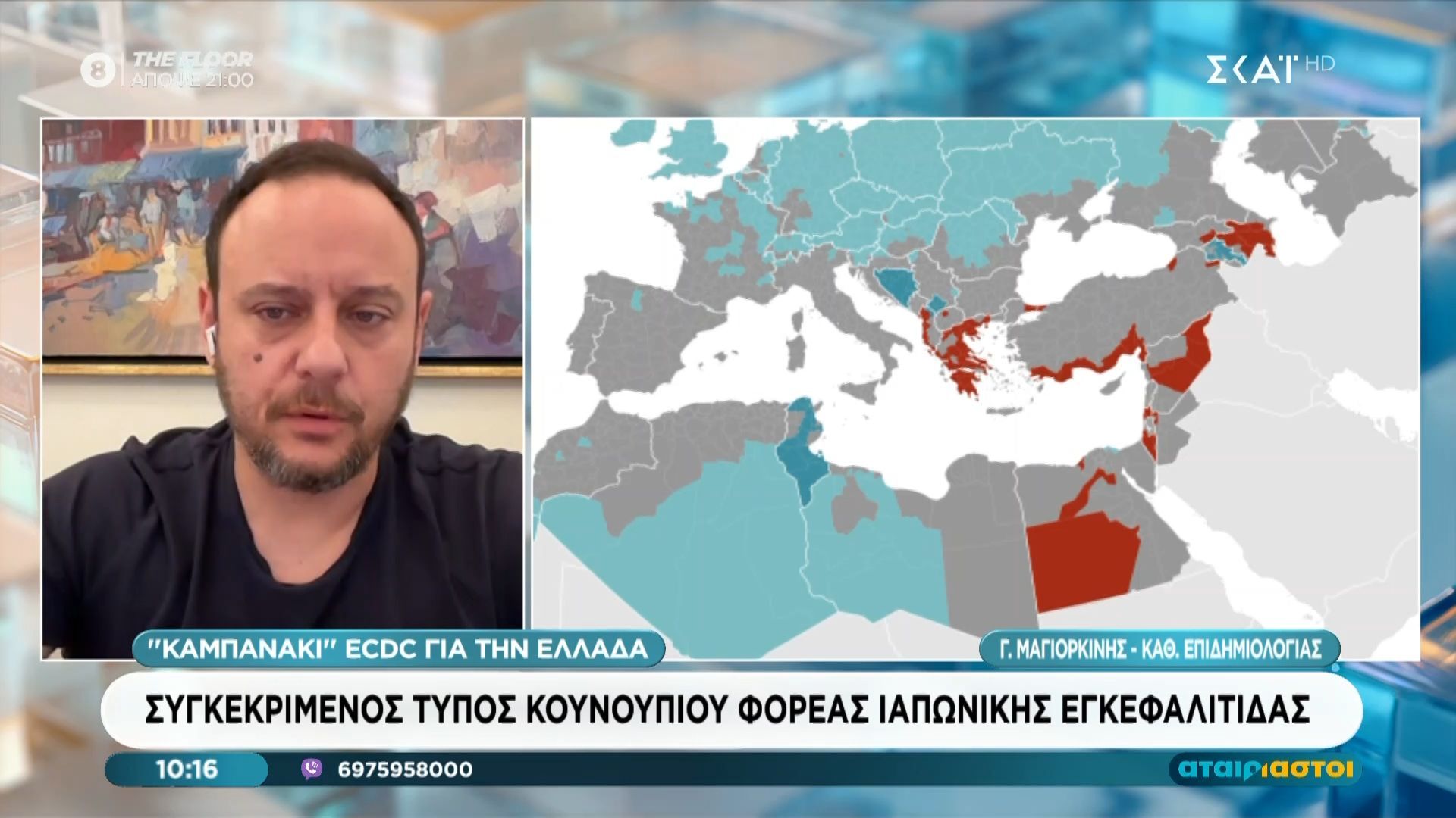 Συγκριμένος τύπος κουνουπιού φορέας Ιαπωνικής εγκεφαλίτιδας