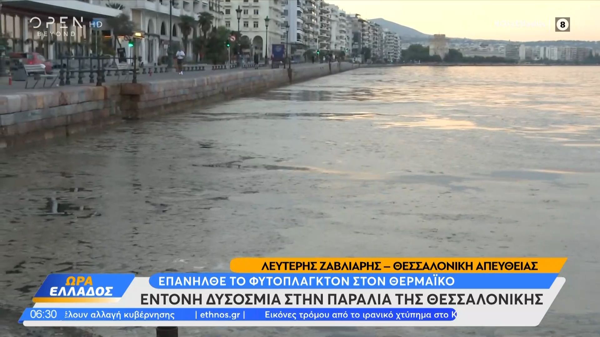 Θεσσαλονίκη: Επανήλθε το φυτοπλαγκτόν στον Θερμαϊκό