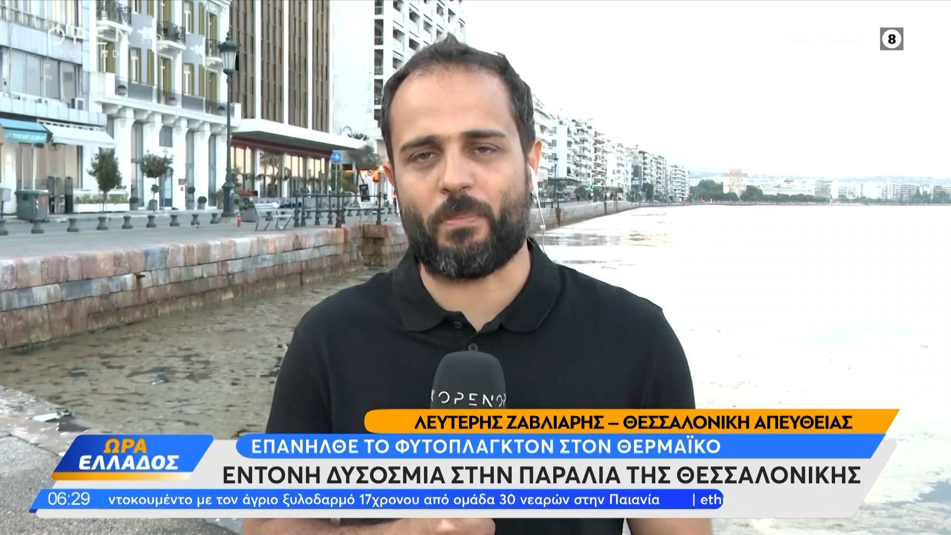 Θεσσαλόνικη: Το φυτοπλαγκτόν «πνίγει» τον Θερμαϊκό
