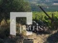 Ηράκλειο: 60χρονος καταπλακώθηκε από τρακτέρ και είναι χωρίς τις αισθήσεις του