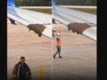 Βίντεο: Μέλισσες «κατέλαβαν» το φτερό ενός αεροσκάφους και καθυστέρησαν την πτήση