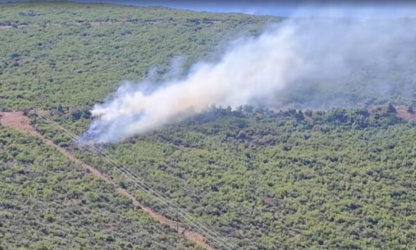 Φωτιά στον Άγιο Βασίλειο Βοιωτίας – Ισχυρές πυροσβεστικές δυνάμεις στην περιοχή