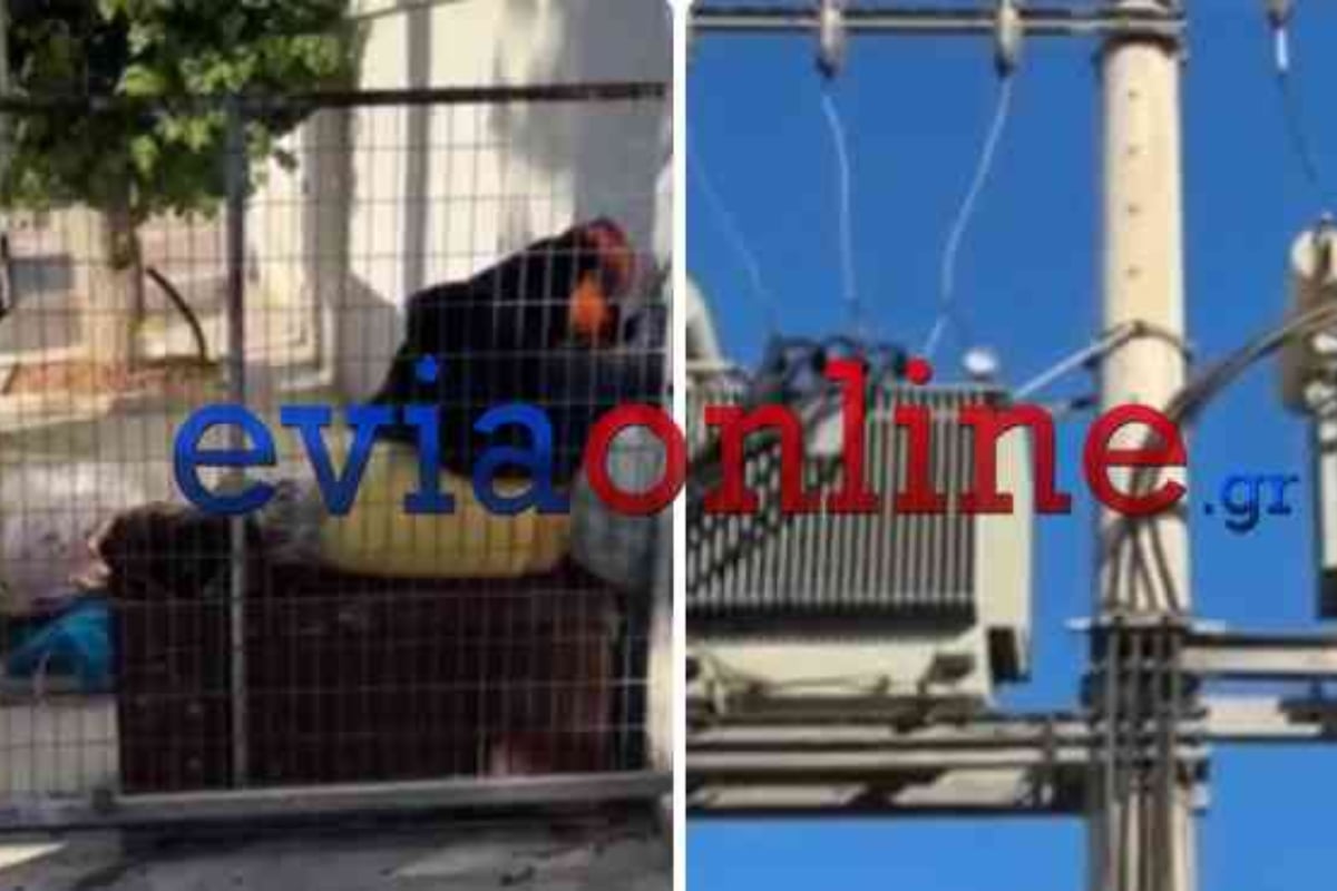 Χαλκίδα: Έκρηξη σε μετασχηματιστή ρεύματος άφησε πολλές περιοχές χωρίς ηλεκτρισμό