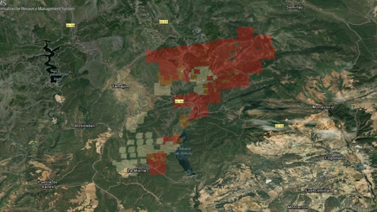 Ισπανία: Πυρκαγιά κατέκαψε 120.000 στρέμματα στην επαρχία Γκουανταλαχάρα 1 Ισπανία: Πυρκαγιά κατέκαψε 120.000 στρέμματα στην επαρχία Γκουανταλαχάρα