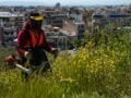 Οι «πρωταθλητές» στα ακαθάριστα οικόπεδα – Καταγγελίες εκτοξεύτηκαν και οι λόγοι
