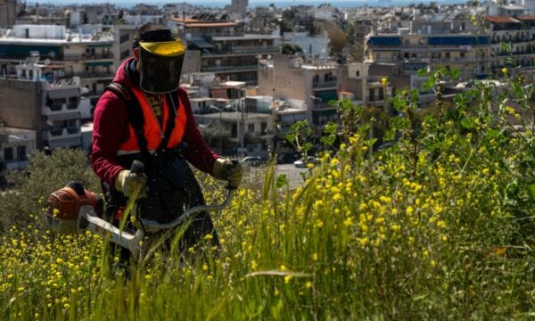 Οι «πρωταθλητές» στα ακαθάριστα οικόπεδα – Καταγγελίες εκτοξεύτηκαν και οι λόγοι